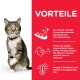 Zalety karmy Feline Science Plan Adult Oral Care 2x7 kg