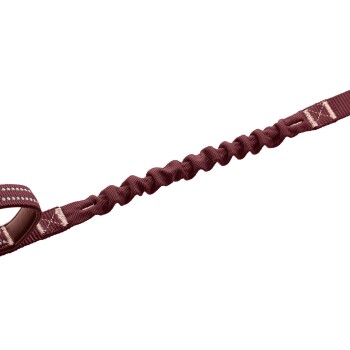 Bordeauxfarbene Bungee-Hundeleine mit elastischem Stoßdämpferabschnitt und genähtem Griff vor weißem Hintergrund.
