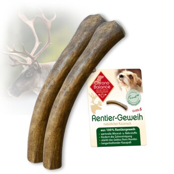 Rentier Geweih Snack 2xL, 2x