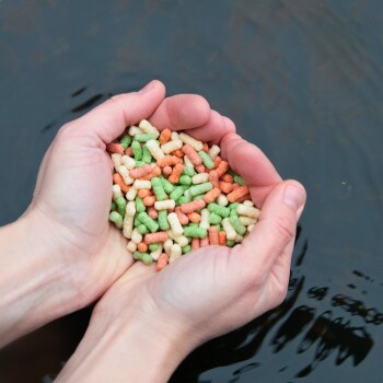 Die Hände einer Person halten bunte Haustierfutterpellets in Grün, Orange und Weiß, mit einer dunklen Wasseroberfläche im Hintergrund.