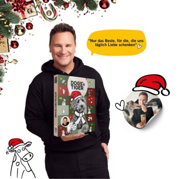 Adventskalender für Hunde mit einem festlichen Design mit nummerierten Feldern, einem Dalmatinerkopf und dem Text "DOGS'n TIGER."