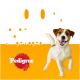 Ein verspielter Hund steht vor einem leuchtend orangefarbenen Hintergrund, mit dem Text "100% komplett und ausgewogen" und dem Pedigree-Logo am unteren Rand.
