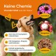 Glücklicher Golden Retriever im Freien, umgeben von Text über natürliche Haustierheilmittel mit Echinacea, Mangosteen und Leinsamen.