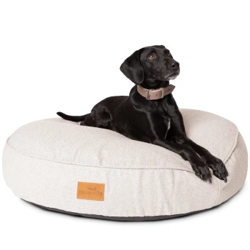 kuscheliges Hundebett mit Memory Foam ⌀100cm hellgrau 1 m Ein schwarzer Hund mit einem braunen Halsband liegt auf einem runden, plüschigen Hundebett mit einem hellbeigen Stoff und einem Freudentier-Logo-Tag.