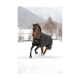 Ein braunes Pferd trägt eine schwarze Winterdecke mit goldenen Verzierungen und läuft durch tiefen Schnee, umgeben von einer verschneiten Landschaft und Bergen.