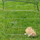 Kleiner hellbrauner Kaninchen im Metall-Drahtgehege auf grünem Gras im Freien.
