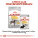 Royal Canin Dermacomfort Hundefutter: große "MAXI"-Tüte, kleine "ALL SIZES"-Tüte, Hundesilhouette und Text über Futterkombination.