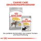 Royal Canin Dermacomfort Hundefutter: große "MAXI"-Tüte, kleine "ALL SIZES"-Tüte, Hundesilhouette und Text über Futterkombination.
