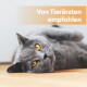 Graue Katze mit goldenen Augen liegt auf einem Holzboden; orangefarbener Banner mit der Aufschrift 'Von Tierärzten empfohlen'.