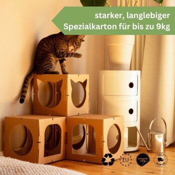 Eine verspielte getigerte Katze sitzt auf einem Stapel von drei Pappkartons mit ausgeschnittenen Katzenköpfen, beschriftet mit "starker, langlebiger Spezialkarton für bis zu 9kg."