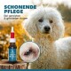 Flasche mit Augenpflege-Lösung für Haustiere mit rotem Tropferdeckel, beschriftet "Augenpflege," neben einer Nahaufnahme eines Hundesauges.