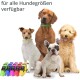 Vier Hunde verschiedener Rassen sind abgebildet, die bunte Halsbänder tragen. Der Text lautet 'für alle Hundgrößen verfügbar'.