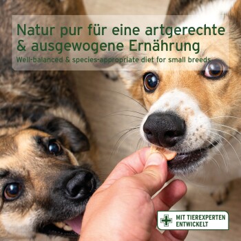 Zwei Hunde werden per Hand mit einem Leckerli gefüttert; überlagernder Text „Natur pur ... ausgewogene Ernährung“ und Abzeichen „MIT TIEREXPERTEN ENTWICKELT“.