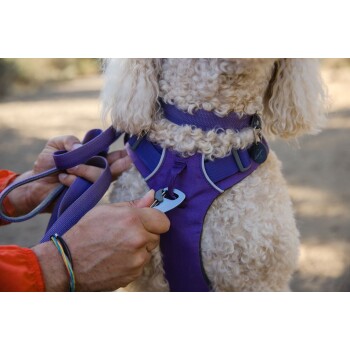 Ruffwear Front Range Leine violett FRESSNAPF