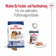 Royal Canin Verpackung zeigt Trockenfutter für große Hunde (L, 26-44 kg) und Nassfutter, das ein gemischtes Fütterungserlebnis fördert.