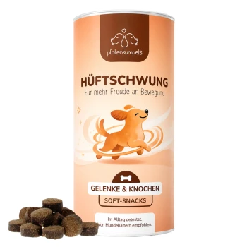 Eine Tüte mit Hundeleckerlis mit einem lächelnden Berner Sennenhund und Blumen, beschriftet mit "Hüftschwung - Gelenke und Knochen Snacks für Hunde."