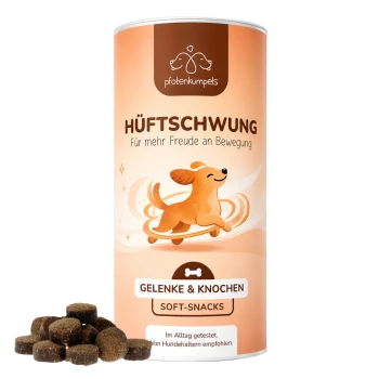 Eine Tüte mit Hundeleckerlis mit einem lächelnden Berner Sennenhund und Blumen, beschriftet mit "Hüftschwung - Gelenke und Knochen Snacks für Hunde."