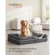 Golden Retriever in grauem Feandrea-Hundebett in hellem Wohnzimmer; sichtbarer Text 'feandrea by SONGMICS HOME'.