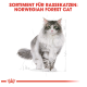 Illustration einer Norwegischen Waldkatze mit grünen Augen und einem flauschigen Fell, begleitet von dem Text "SORTIMENT FÜR RASSEKATZEN: NORWEGIAN FOREST CAT."
