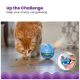 Eine orangefarbene getigerte Katze schnüffelt an verstreuten Katzenleckerlis auf einem Holzboden neben einem blauen interaktiven Spielzeug mit einer Feder, das die geistige Stimulation fördert.