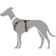 Illustration eines grauen Hundes, der ein braunes und schwarzes Geschirr trägt, das das Design und die Passform des Geschirrs zeigt.