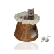 Ein gemütliches Korb-Katzenbett mit einem weichen cremefarbenen Kissen, mit einer getigerten Katze, die oben liegt, und zwei Spielbällen daneben.