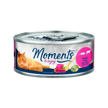 Boîte de nourriture pour chats avec une image d'un chat orange joueur, étiquetée "Moments à savourer," avec une saveur de thon et de bœuf, marquée comme "Quality Filet."