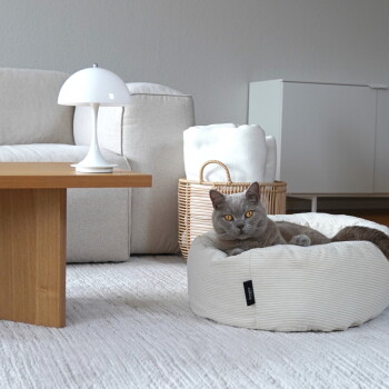 Grau gefärbte Katze mit bernsteinfarbenen Augen liegt in einem beigen, gestreiften runden Katzenbett mit sichtbarem schwarzem Etikett, in einem neutralen Wohnzimmer.