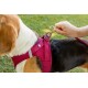 Vest Harness Clasp Air-Mesh green XXS