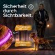 Ein Mann führt einen Golden Retriever mit einem leuchtenden LED-Halsband in einem dunklen Park, mit "Durchgängiges LED-Licht" und "Reflektierende Nähte."