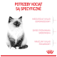 Puszyste kocię po lewej z polskim nagłówkiem „POTRZEBY KOCIĄT SĄ SPECYFICZNE”, trzy różowe punktory po prawej, czerwone logo z koroną.