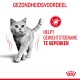 Grijze kat die loopt met een gezondheidsvoordeellabel dat zegt "Helpt gewichtstoename te beperken" en een kcal-pictogram, op een witte achtergrond.