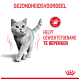 Grijze kat die loopt met een gezondheidsvoordeellabel dat zegt "Helpt gewichtstoename te beperken" en een kcal-pictogram, op een witte achtergrond.