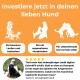 Investiere jetzt in deinen lieben Hund. Icons für bessere Mobilität, angenehmes Hundeleben und Freude im Alter. Kundenbewertungen heben die Vorteile hervor.