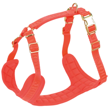 Harnais rembourré pour chien orange vif avec sangles réglables et boucles métalliques dorées, sans texte visible.