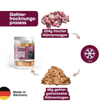 Frosttrocknungsprozess für Hundeleckerlis: 300g frische Hühnermägen gezeigt, was zu 60g gefriergetrocknetem Produkt führt. Hergestellt in Deutschland.