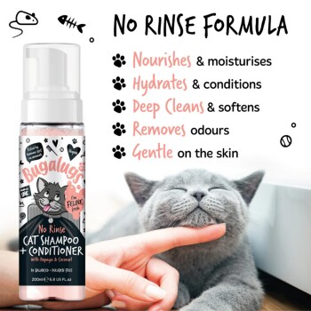 Flasche für Shampoo und Conditioner für Katzen ohne Ausspülen mit Papaya und Kokosnuss, mit einer entspannten grauen Katze. Höhepunkte: nährt, hydratisiert, reinigt gründlich.