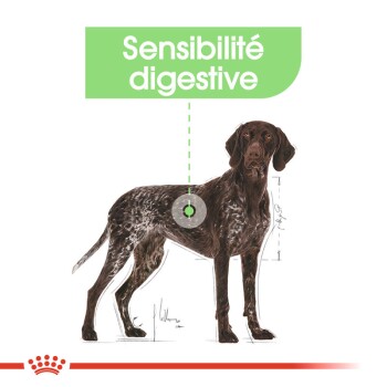 Digestive Care Maxi 12 kg