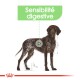 Digestive Care Maxi 12 kg