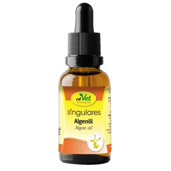 Braune Glas-Tropfflasche mit schwarzem Verschluss, beschriftet 'cdVet singulares Algenöl Algae oil'.