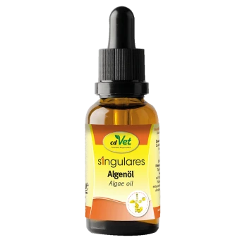 Braune Glas-Tropfflasche mit schwarzem Verschluss, beschriftet 'cdVet singulares Algenöl Algae oil'.
