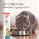 Eine graue Katze, die aus einer Edelstahlschüssel frisst, mit einer Box Beaphar IntestoPro für die Verdauungsunterstützung daneben, mit Text auf Deutsch.