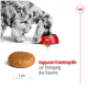 Ein Hund, der aus einer roten Schüssel frisst, mit einer Nahaufnahme eines Krokettenstücks daneben, beschriftet mit "Angepasste Krokettengröße zur Anregung des Kauens."