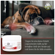 Ein ruhender Boxerhund auf einer Couch mit einem Glas Bellfor Liegeschwielen Salbe im Vordergrund, mit Anweisungen auf Deutsch zur Anwendung.