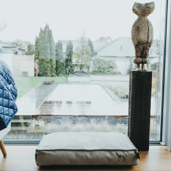 Ein gemütliches Haustierbett steht auf einem Holzboden nahe einem großen Fenster mit Regentropfen, mit Blick auf einen Garten mit Bäumen und einer Terrasse.