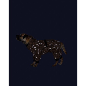 Hund in einem braunen, tigergestreiften, reflektierenden Ganzkörper-Regenmantel mit schwarzen Riemen und kleinem weißen Etikett am Kragen