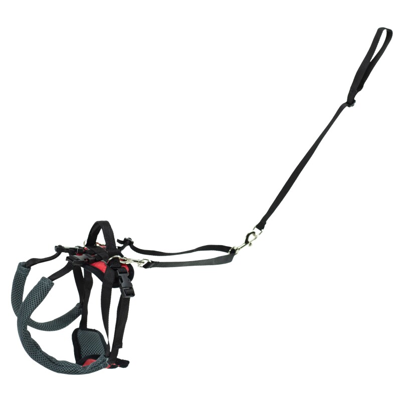 PetSafe CareLift Hüft-Hebegeschirr für Hunde