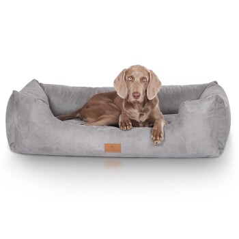 Ein brauner Hund ruht sich bequem in einem weichen, grauen Haustierbett mit einem Lederetikett aus, das ein gemütliches und einladendes Design zeigt.