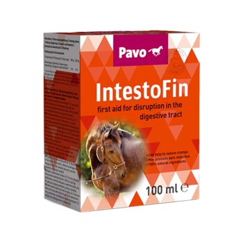 Ergänzungsfutter IntestoFin 0,1 L