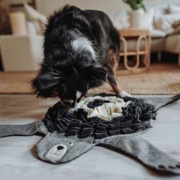 Ein schwarzer und brauner Hund schnüffelt an einer strukturierten, löwenförmigen Schnüffelmatte mit schwarzen und cremefarbenen Stoffstreifen, die auf einem hellen Holzboden liegt.